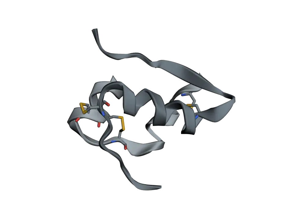 Insulin as two grey ribbons: the short A chain with two small helices, and the longer B chain with one central helix, joined by disulfide bonds drawn as sticks.