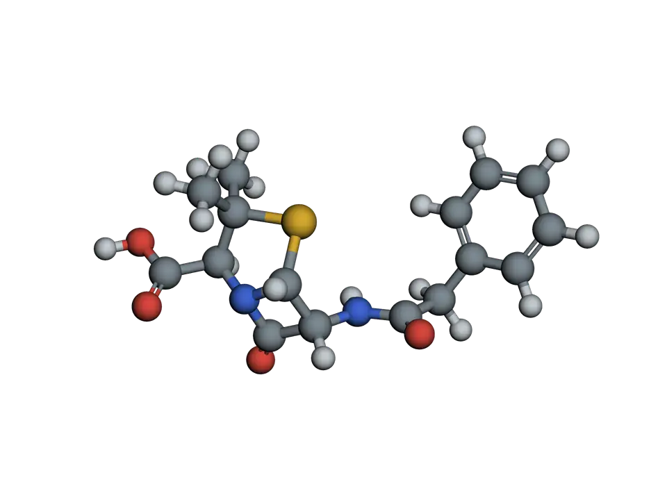 Penicillin G as balls and sticks: a square beta-lactam ring fused to a five-membered ring containing sulfur, with a carboxylic acid on one side and a benzyl side chain on the other.
